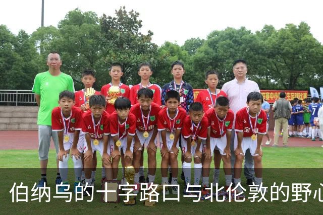 伯纳乌的十字路口与北伦敦的野心：维尼修斯的“唯一”抉择是进厂